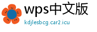 wps中文版